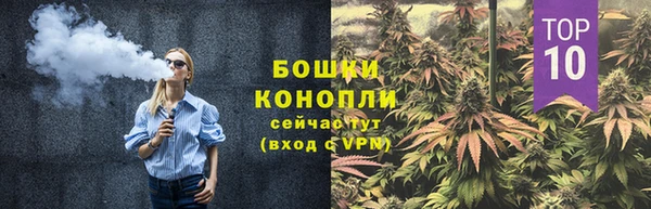 ГАЛЛЮЦИНОГЕННЫЕ ГРИБЫ Ладушкин