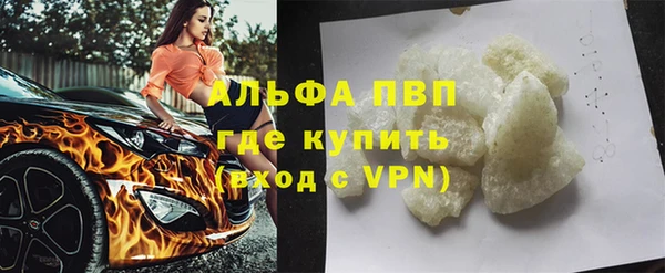 ГАЛЛЮЦИНОГЕННЫЕ ГРИБЫ Ладушкин