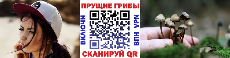наркотики  Надым  Галлюциногенные грибы мицелий 
