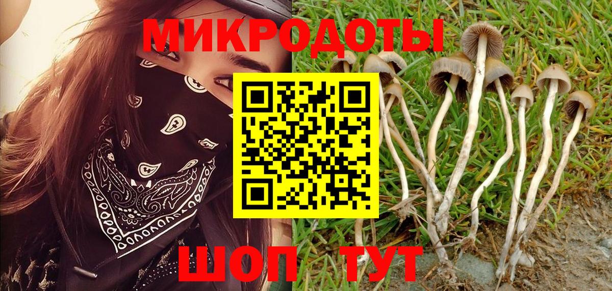 Псилоцибиновые грибы Cubensis Надым